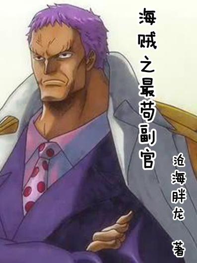 海贼之最苟副官主角是谁