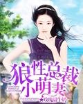 总裁的傲娇萌妻结局