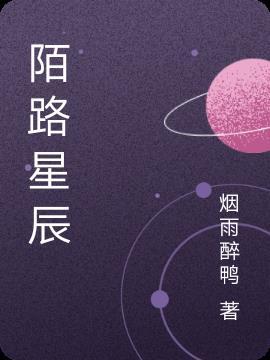 陌路星辰贺时野林微微