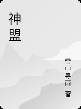 神盟社区是传销吗
