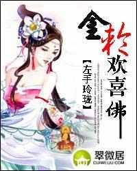 金轮欢喜佛全文免费阅读