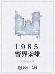 警界双雄