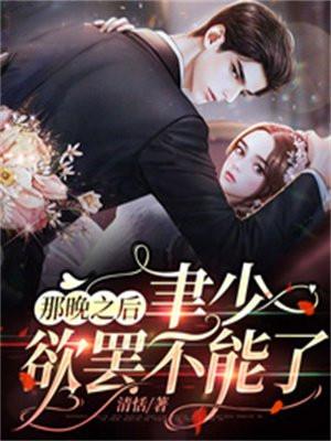 那晚我欲