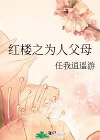 红楼之贵人