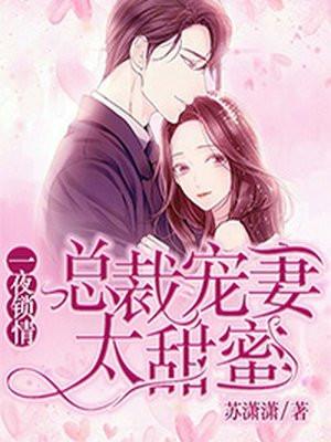剧名叫一夜锁情