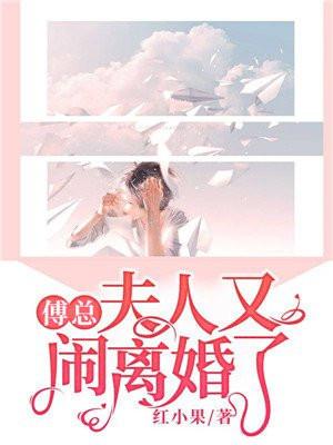 夫人又闹离婚了 txt