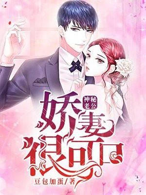 神秘老公小娇妻