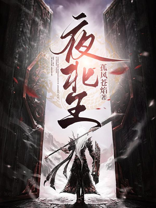 夜北王叶枫短剧免费播放