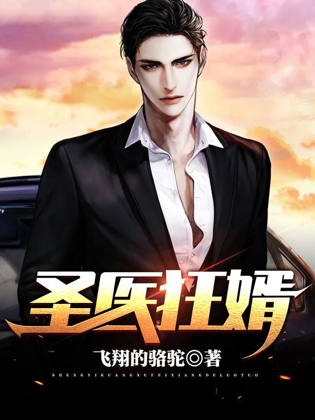 圣医狂婿夏宇