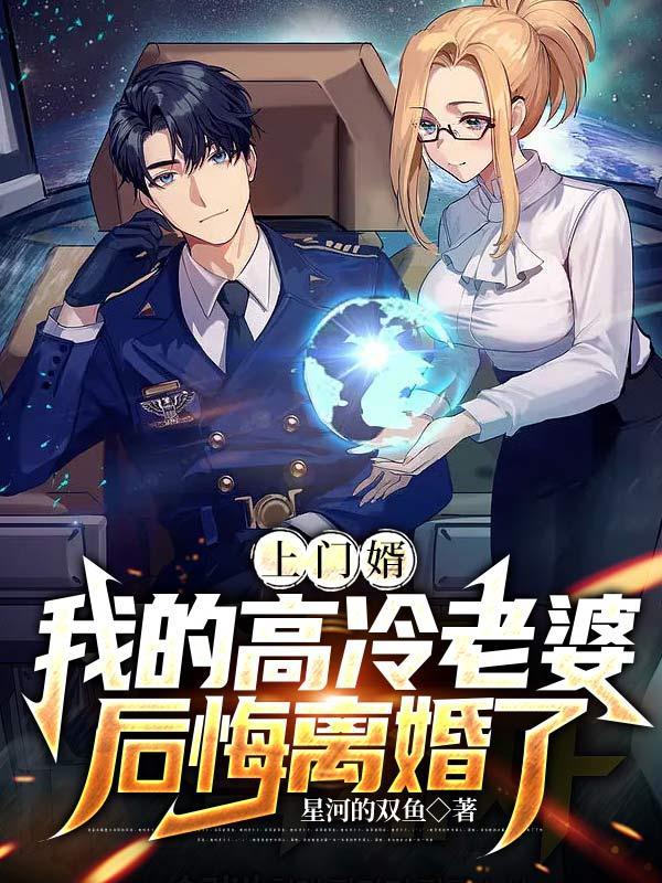 我上门女婿