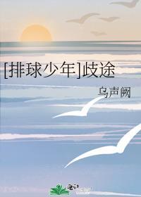 排球少年连载