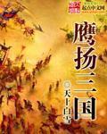 鹰扬三国 何皇后