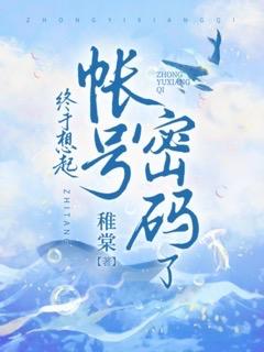 自己的账号密码在哪看