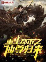 重生之都市仙尊归来叶枫