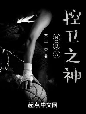 Nba控卫之神 txt
