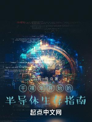 千禧年半导体生存指南的简介