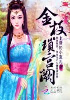 金枝 宫锁心玉