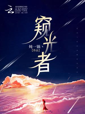 窥光者末世