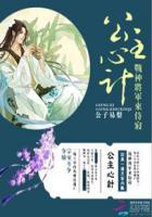 公主与战将军