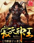寂灭剑神免费全文阅读