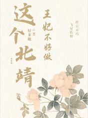这个王妃有点野 北夜