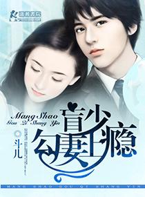 盲少爱妻上瘾百度