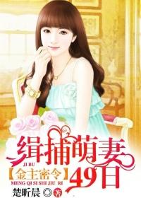 全球缉捕前妻别想逃全文免费阅读