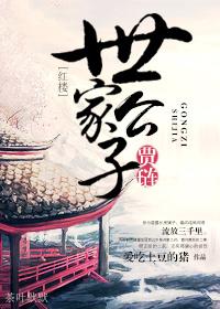 红楼贾链他哥
