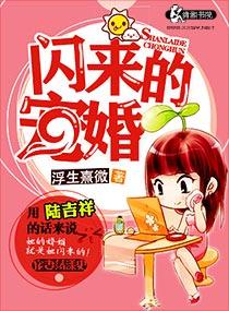 闪来的婚宠陆吉祥