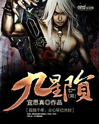 九天尊 星陨阁