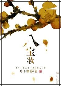 八宝妆txt提取码