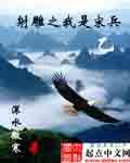 射雕英雄传宋兵甲