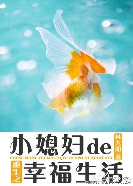 重生之小媳妇的幸福生活晋江