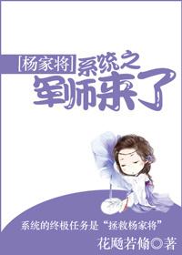 穿越杨家将收美系统