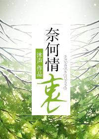 奈何情衷完整版