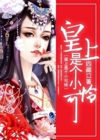 皇上臣是个男的