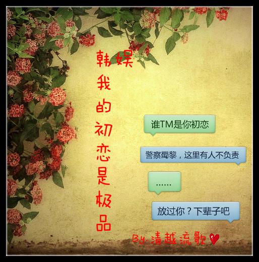 韩娱之初恋与替身