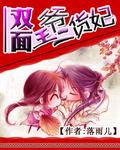双面王爷二货妃免费阅读