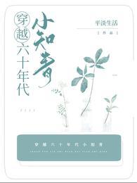 穿越六十年代小知青免费版