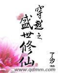 穿越之盛世安图