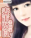 妻本贤良橙光金手指2021