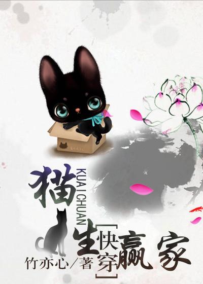 猫生赢家txt