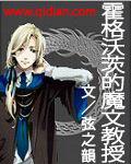 霍格沃茨的魔文教授弦之韵