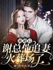 离婚后总裁追妻有点甜