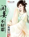 闲妻不在家全文免费阅读