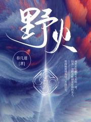 野火春风斗古城