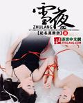 雪夜红灯笼阅读理解答案