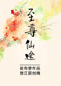 至尊仙途在线阅读