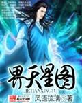 十五天星图