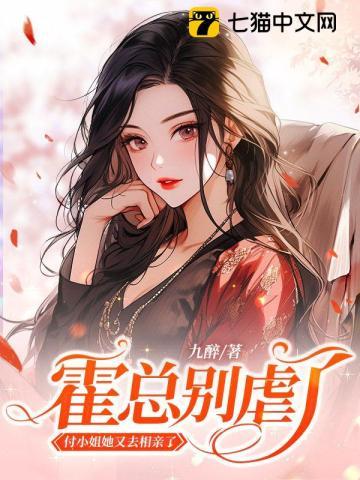 付小姐她又去相亲了未册减版